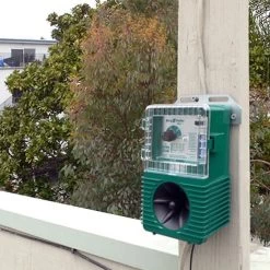 Professionele Vogelverjager Tegen Kraaien - Weitech