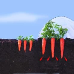 Kweekfolie / Tunnelfolie - 2 × 10 M -Buiten Tuin Verpleging 1534088192 2 600