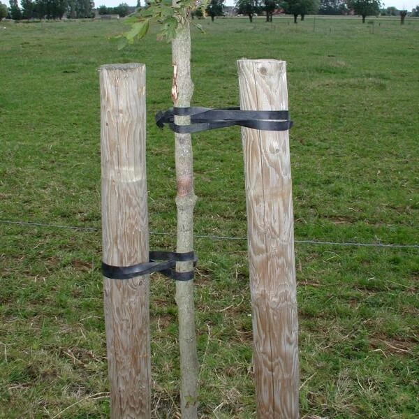 Tree-fix Boombinder 50 Cm/15 Mm - Set Van 10 Stuks 4 Tree-fix Boombinder 50 Cm/15 Mm - Set Van 10 Stuks - Afbeelding 2