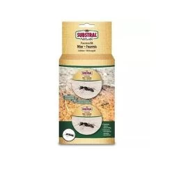 Naturen Mier Lokdoos - Set Van 2 Stuks