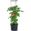 Tomaten Kweekpot Met Groeisteun - 12 Liter -Buiten Tuin Verpleging 1649410567 1 600