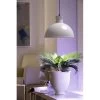 Groeilamp Led Florabooster 500 - 6,5W - Wit 2 Groeilamp Led Florabooster 500 - 6,5W - Wit -Buiten Tuin Verpleging 1677504262 1 600