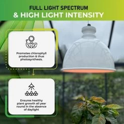 Groeilamp Led Florabooster 500 - 6,5W - Wit 11 Groeilamp Led Florabooster 500 - 6,5W - Wit -Buiten Tuin Verpleging 1677504263 4 600