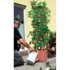 Plantentoren Maxitom Met Waterreservoir - Terracotta -Buiten Tuin Verpleging 1677510667 1 600