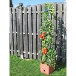 Plantentoren Maxitom Met Waterreservoir - Terracotta -Buiten Tuin Verpleging 1677510667 2 600
