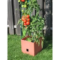 Plantentoren Maxitom Met Waterreservoir - Terracotta -Buiten Tuin Verpleging 1677510667 3 600