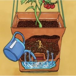 Plantentoren Maxitom Met Waterreservoir - Terracotta -Buiten Tuin Verpleging 1677510668 5 600