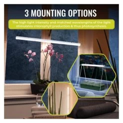 Led Groeilamp Florabooster 200 - 18W - 120 Cm 12 Led Groeilamp Florabooster 200 - 18W - 120 Cm -Buiten Tuin Verpleging 1677575779 1 600