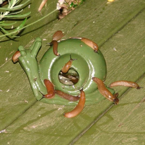 ESSCHERT DESIGN Slakkenval Keramiek - Groen 5 ESSCHERT DESIGN Slakkenval Keramiek - Groen - Afbeelding 3