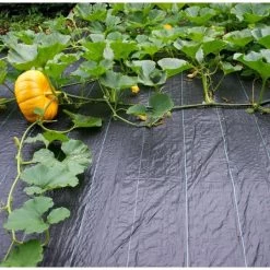 Gronddoek - Onkruidwerend 2 M × 5 M -Buiten Tuin Verpleging antionkruiddoek 2 x 5 m 1511788904 1 600