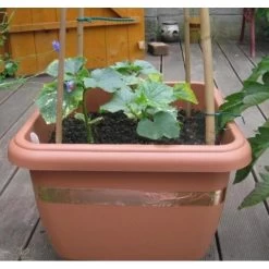 Anti-slakken Kopertape 4 M 10 Anti-slakken Kopertape 4 M -Buiten Tuin Verpleging antislakken kopertape 1484052941 3 600