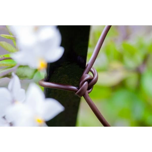 Bindbuis Elastisch Ø 2,5 Mm - Bruin 40 M 5 Bindbuis Elastisch Ø 2,5 Mm - Bruin 40 M - Afbeelding 3