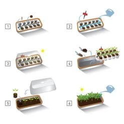 Binnenkas BoQube Plus Romberg - 41 × 17 × 23 Cm -Buiten Tuin Verpleging binnenkas boqube 41 x 17 x 23 cm 1656509792 5 600