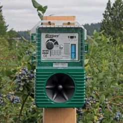 Vogelverjager Tegen Duiven - Weitech 8 Vogelverjager Tegen Duiven - Weitech -Buiten Tuin Verpleging duivenverjager professioneel 1484054962 3 600