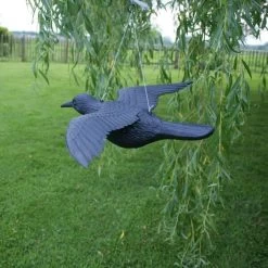 Duivenverjager Vliegende Raaf -Buiten Tuin Verpleging duivenverjager vliegende kraai 1495118313 2 600