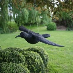 Duivenverjager Vliegende Raaf -Buiten Tuin Verpleging duivenverjager vliegende kraai 1495118460 1 600