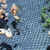 Fijnmazig Vijvernet 6 × 5 Meter 2 Fijnmazig Vijvernet 6 × 5 Meter -Buiten Tuin Verpleging fijnmazig afdeknet 6 x 5 meter 1484062162 1 600