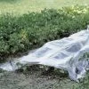 Folie Voor Kweektunnel - 2 × 10 M -Buiten Tuin Verpleging folie voor kweektunnel 2 x 10 m 1484061197 1 600