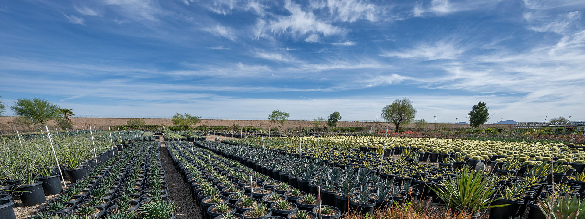 Buiten Tuin Verpleging -Buiten Tuin Verpleging g 1