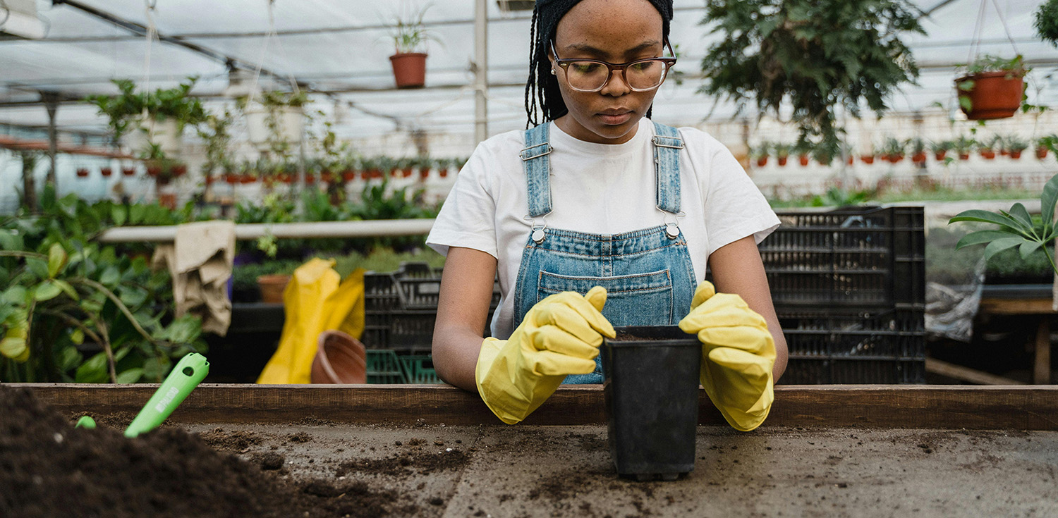 Buiten Tuin Verpleging -Buiten Tuin Verpleging g 2