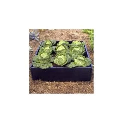 Groeibed Vierkant Kunststof - 97,5 × 97,5 × 25 Cm -Buiten Tuin Verpleging groeibed 975 x 975 x 25 cm 1484053179 3 600