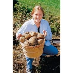 Groeibed Vierkant Kunststof - 97,5 × 97,5 × 25 Cm -Buiten Tuin Verpleging groeibed 975 x 975 x 25 cm 1490036317 1 600