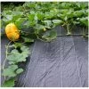 Gronddoek 3 × 6 M (90 G/m²) 1 Gronddoek 3 × 6 M (90 G/m²) -Buiten Tuin Verpleging gronddoek 3 x 6 m 90 gm 1615194890 1 600