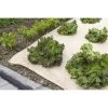 Gronddoek Jutevilt JUTESOL 10 × 0,8 M 1 Gronddoek Jutevilt JUTESOL 10 × 0,8 M -Buiten Tuin Verpleging gronddoek jutevilt 10 x 08 m 1545906611 1 600