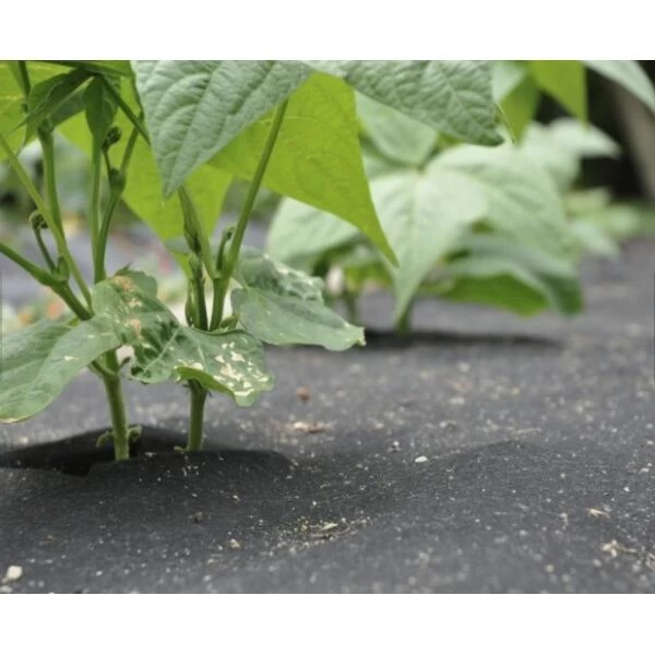 Gronddoek Vilt Met Openingen Voor Sla En Bonen - 60 Cm × 5 M - Afbeelding 2