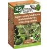 BSI Insectenbestrijding Omni Insect - 25 Ml 1 BSI Insectenbestrijding Omni Insect - 25 Ml -Buiten Tuin Verpleging insectenbestrijding omni insect 25 ml 1557837262 1 600