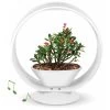 Mini Tuin Jardin Secret Met Verlichting En Bluetooth - Rond -Buiten Tuin Verpleging jardin secret met bluetooth rond 1602065218 1 600