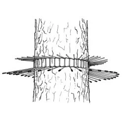 Kattenafweergordel Tot Boomomtrek 70 Cm -Buiten Tuin Verpleging kattenafweergordel tot 70 cm 1553681931 3 600