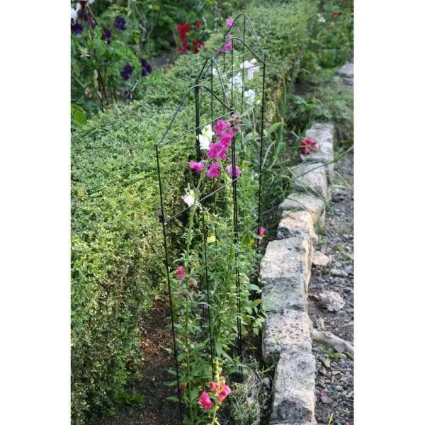 Klimplantensteun - Moduleerbare Steunpanelen 6 Klimplantensteun - Moduleerbare Steunpanelen - Afbeelding 4