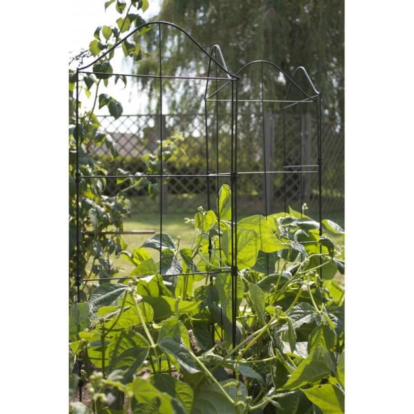 Klimplantensteun - Moduleerbare Steunpanelen 7 Klimplantensteun - Moduleerbare Steunpanelen - Afbeelding 5