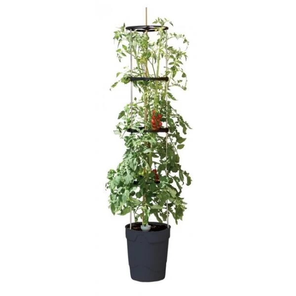 Tomatentoren 150 Cm Met Bewateringssysteem - Grijs 3 Tomatentoren 150 Cm Met Bewateringssysteem - Grijs
