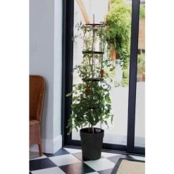 Tomatentoren 150 Cm Met Bewateringssysteem - Grijs 13 Tomatentoren 150 Cm Met Bewateringssysteem - Grijs -Buiten Tuin Verpleging klimplantentoren met bewateringssysteem 1519073397 1 600