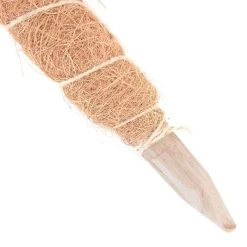 Kokos Kamerplantensteun - Plantstok Ø45 Mm × 1 M 9 Kokos Kamerplantensteun - Plantstok Ø45 Mm × 1 M -Buiten Tuin Verpleging kokos plantensteun 45 mm x 1 m 1622717806 4 600