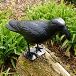 Duivenverjager Kraai Roepend 8 Duivenverjager Kraai Roepend -Buiten Tuin Verpleging kraai met geluid 1523289337 3 600