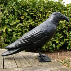 Duivenverjager Kraai Roepend 9 Duivenverjager Kraai Roepend -Buiten Tuin Verpleging kraai met geluid 1523289337 4 600