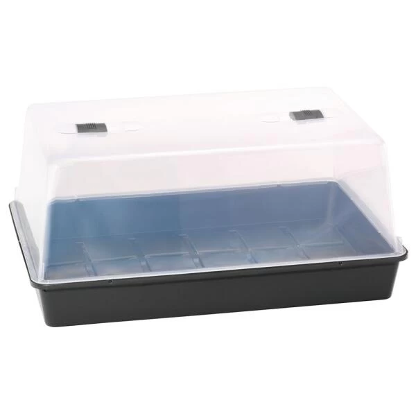 Kweekkas XXL Met Deksel - 59 × 39 × 27 Cm 3 Kweekkas XXL Met Deksel - 59 × 39 × 27 Cm