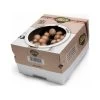 Kweekset 7,5 Liter Bruine Champignons 1 Kweekset 7,5 Liter Bruine Champignons -Buiten Tuin Verpleging kweekset bruine champignons 1484067274 1 600