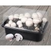 ESSCHERT DESIGN Kweekset Champignons -Buiten Tuin Verpleging kweekset champignons 1484054545 1 600