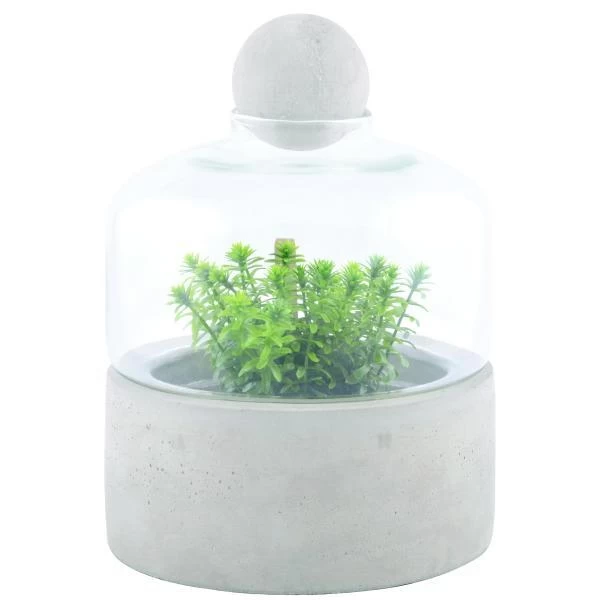 ESSCHERT DESIGN Kweekstolp Glas Op Betonbasis 4 ESSCHERT DESIGN Kweekstolp Glas Op Betonbasis - Afbeelding 2