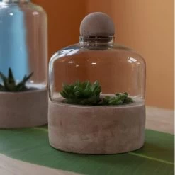 ESSCHERT DESIGN Kweekstolp Glas Op Betonbasis 9 ESSCHERT DESIGN Kweekstolp Glas Op Betonbasis -Buiten Tuin Verpleging kweekstolp glas op betonbasis 1628768694 1 600