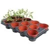 Tray Met 12 Ronde Potten Van 11 Cm -Buiten Tuin Verpleging kweektray 12 potjes 11 cm 1484055981 1 600
