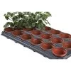 Tray Met 18 Ronde Kweekpotten 9 Cm 2 Tray Met 18 Ronde Kweekpotten 9 Cm -Buiten Tuin Verpleging kweektray 18 potten 9 cm 1484055982 1 600