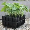 Kweektray Deep Roots - 32 Cellen 2 Kweektray Deep Roots - 32 Cellen -Buiten Tuin Verpleging kweektray deep roots 32 cellen 1487673472 0 600