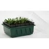 Kweektray Compact Rapid Root - 20 Cellen 2 Kweektray Compact Rapid Root - 20 Cellen -Buiten Tuin Verpleging kweektray rapid root 20 cellen 1487670094 0 600