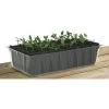 Kweektray Rapid Roots - 32 Cellen 2 Kweektray Rapid Roots - 32 Cellen -Buiten Tuin Verpleging kweektray rapid roots 32 cellen 1487674841 0 600