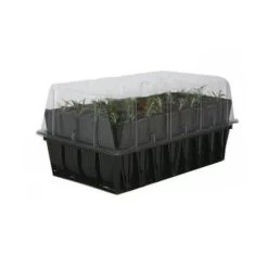 Kweektray Rapid Roots - 32 Cellen -Buiten Tuin Verpleging kweektray rapid roots 32 cellen 1521399839 2 600